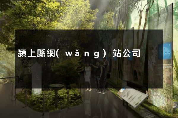 潁上縣網(wǎng)站公司