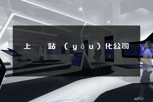 潁上縣網站優(yōu)化公司