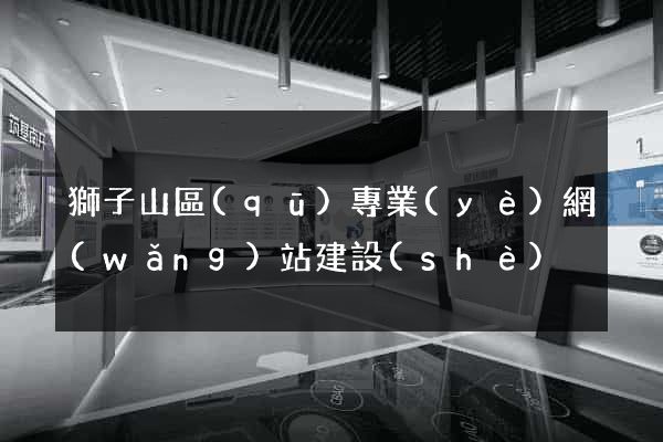 獅子山區(qū)專業(yè)網(wǎng)站建設(shè)