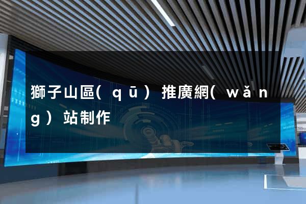 獅子山區(qū)推廣網(wǎng)站制作