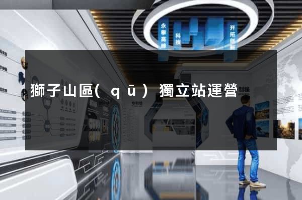 獅子山區(qū)獨立站運營