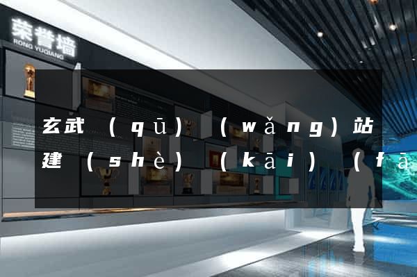 玄武區(qū)網(wǎng)站建設(shè)開(kāi)發(fā)公司