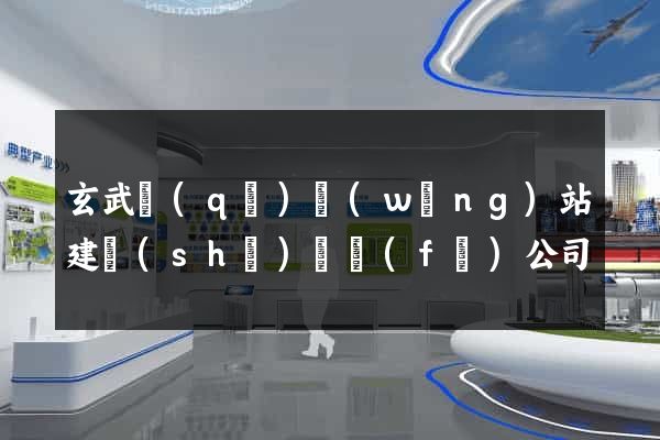 玄武區(qū)網(wǎng)站建設(shè)開發(fā)公司