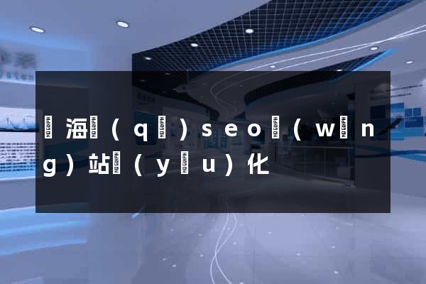 瑤海區(qū)seo網(wǎng)站優(yōu)化