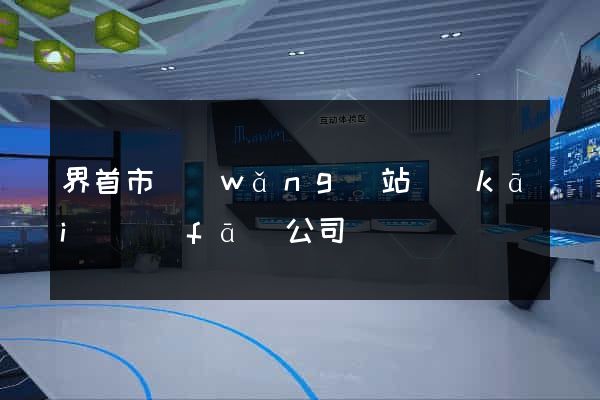 界首市網(wǎng)站開(kāi)發(fā)公司