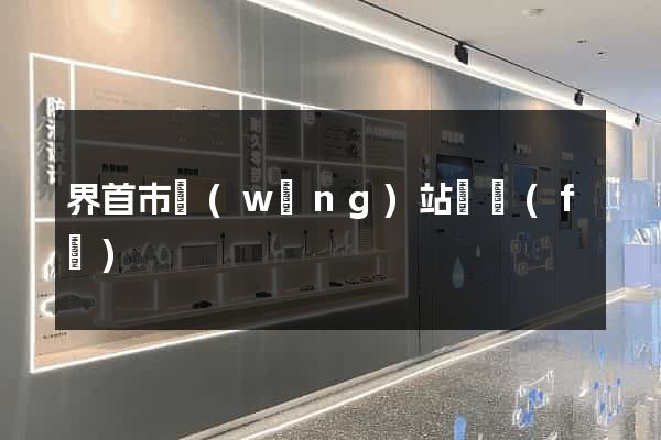 界首市網(wǎng)站開發(fā)