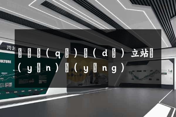 盧灣區(qū)獨(dú)立站運(yùn)營(yíng)