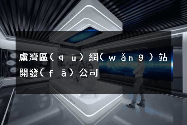 盧灣區(qū)網(wǎng)站開發(fā)公司