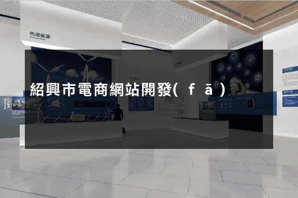 紹興市電商網站開發(fā)