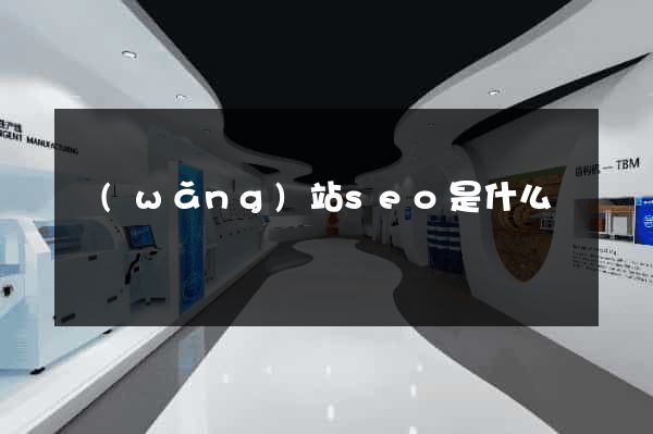 網(wǎng)站seo是什么