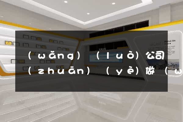 網(wǎng)絡(luò)公司專(zhuān)業(yè)做網(wǎng)站