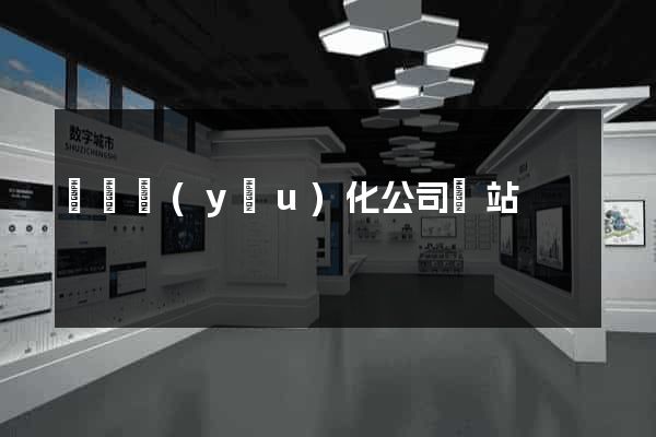 網絡優(yōu)化公司網站