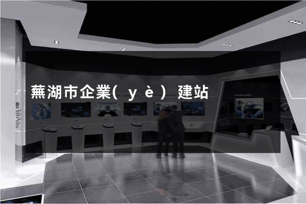 蕪湖市企業(yè)建站