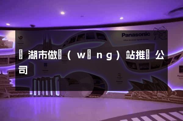 蕪湖市做網(wǎng)站推廣公司