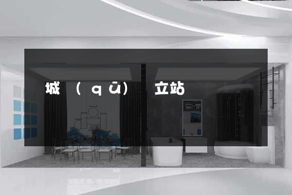 譙城區(qū)獨立站運營