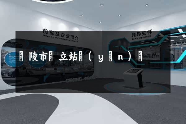 銅陵市獨立站運(yùn)營