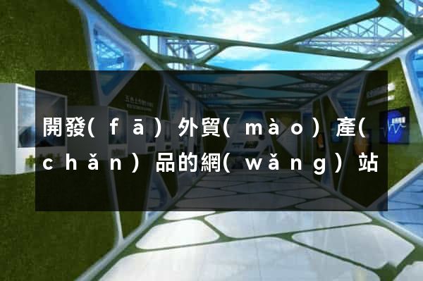 開發(fā)外貿(mào)產(chǎn)品的網(wǎng)站