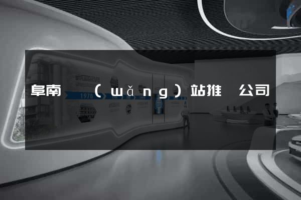 阜南縣網(wǎng)站推廣公司