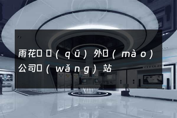 雨花臺區(qū)外貿(mào)公司網(wǎng)站