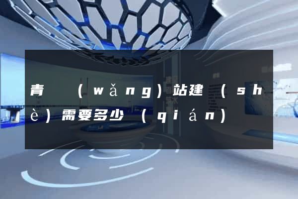 青島網(wǎng)站建設(shè)需要多少錢(qián)