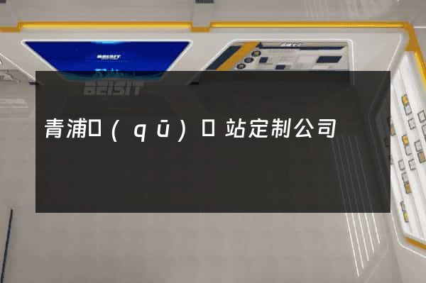 青浦區(qū)網站定制公司