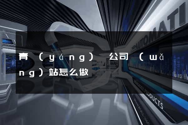 青陽(yáng)縣公司網(wǎng)站怎么做