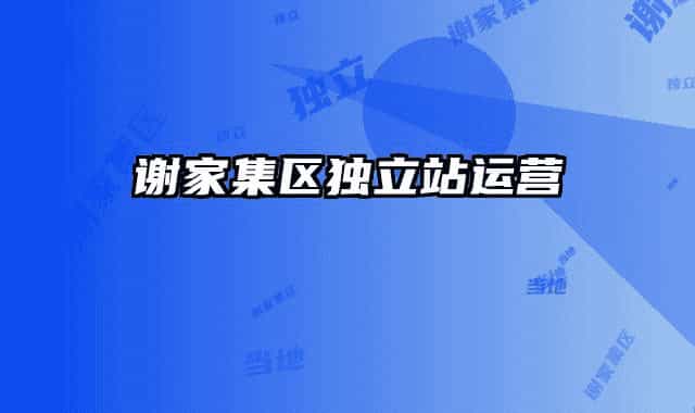 謝家集區(qū)獨(dú)立站運(yùn)營(yíng)