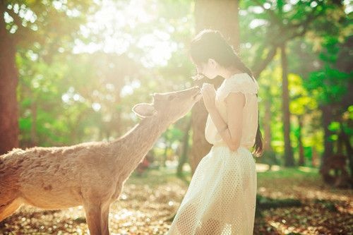 網(wǎng)購平臺建設