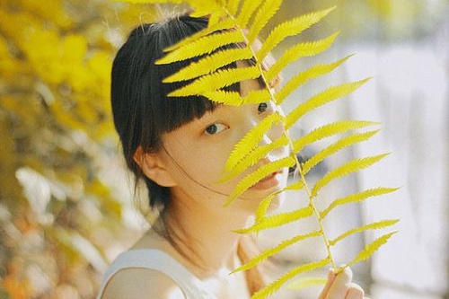 ?？诰W(wǎng)站建設模板網(wǎng)絡公司